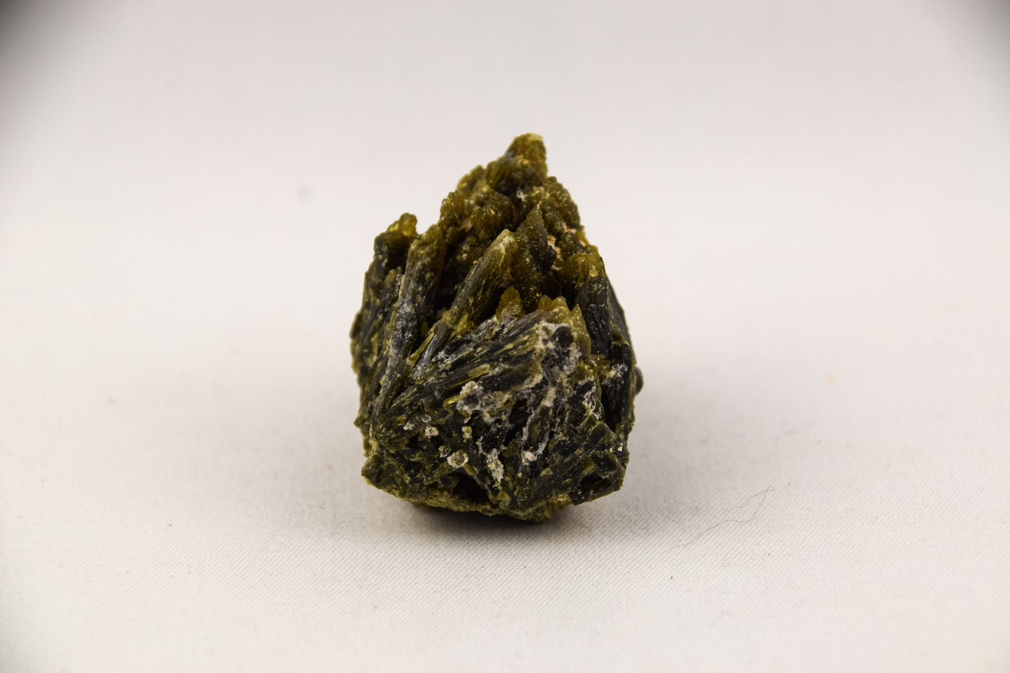 Epidoot - LTH-058