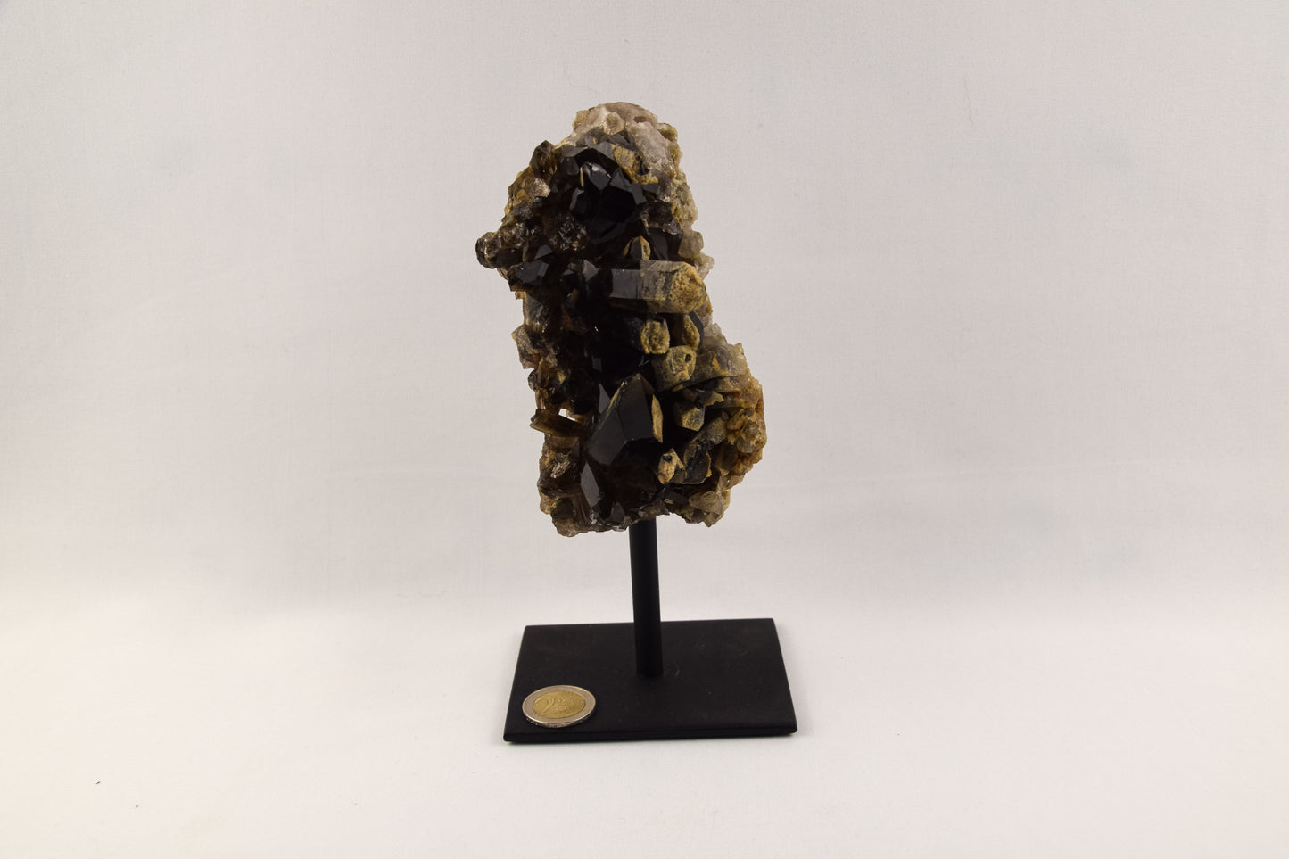 Rookkwarts - LTH-016