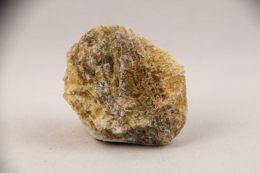 Orchidee Calciet - LTH-046
