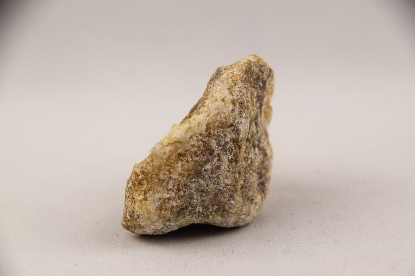 Orchidee Calciet - LTH-046