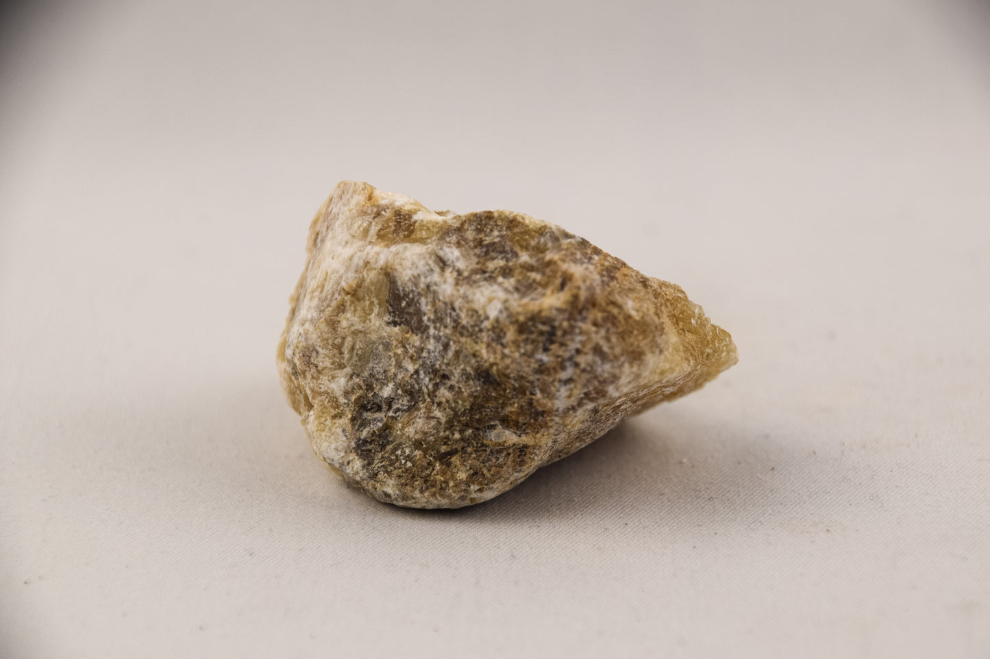 Orchidee Calciet - LTH-046