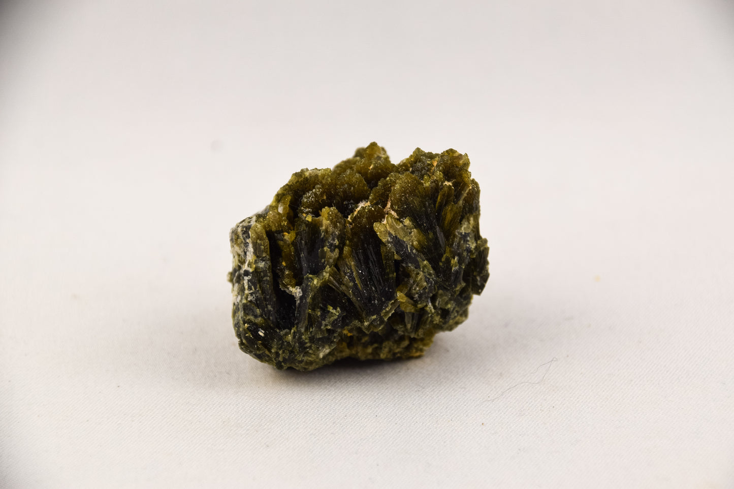Epidoot - LTH-058