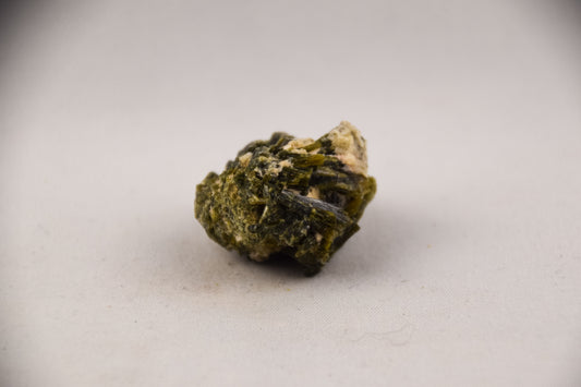 Epidoot - LTH-062